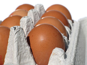 Истинный «возраст» куриного яйца легко проверить