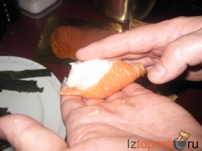 Простейшие суши 