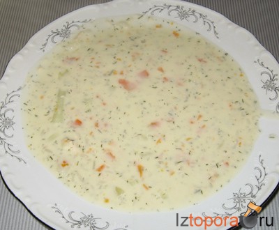 Сырный суп - Блюда из птицы - Горячие блюда - Рецепты - Кулинарные рецепты - Из Топора.RU