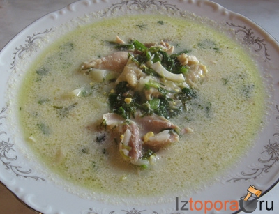 Щавелевый суп - Супы из птицы - Первые блюда - Рецепты - Кулинарные рецепты - Из Топора.RU